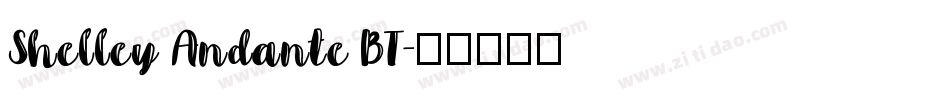 Shelley Andante BT字体转换